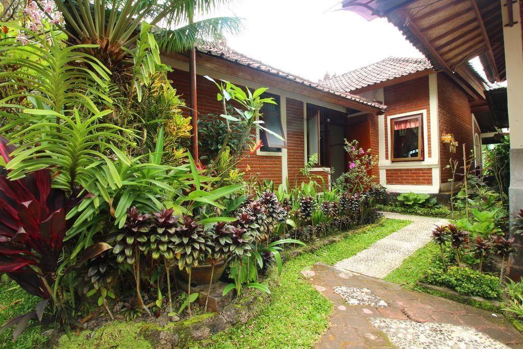 Made Homestay Munduk Ngoại thất bức ảnh