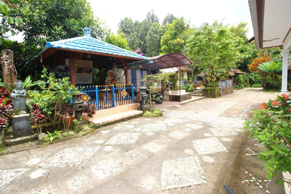 Made Homestay Munduk Ngoại thất bức ảnh