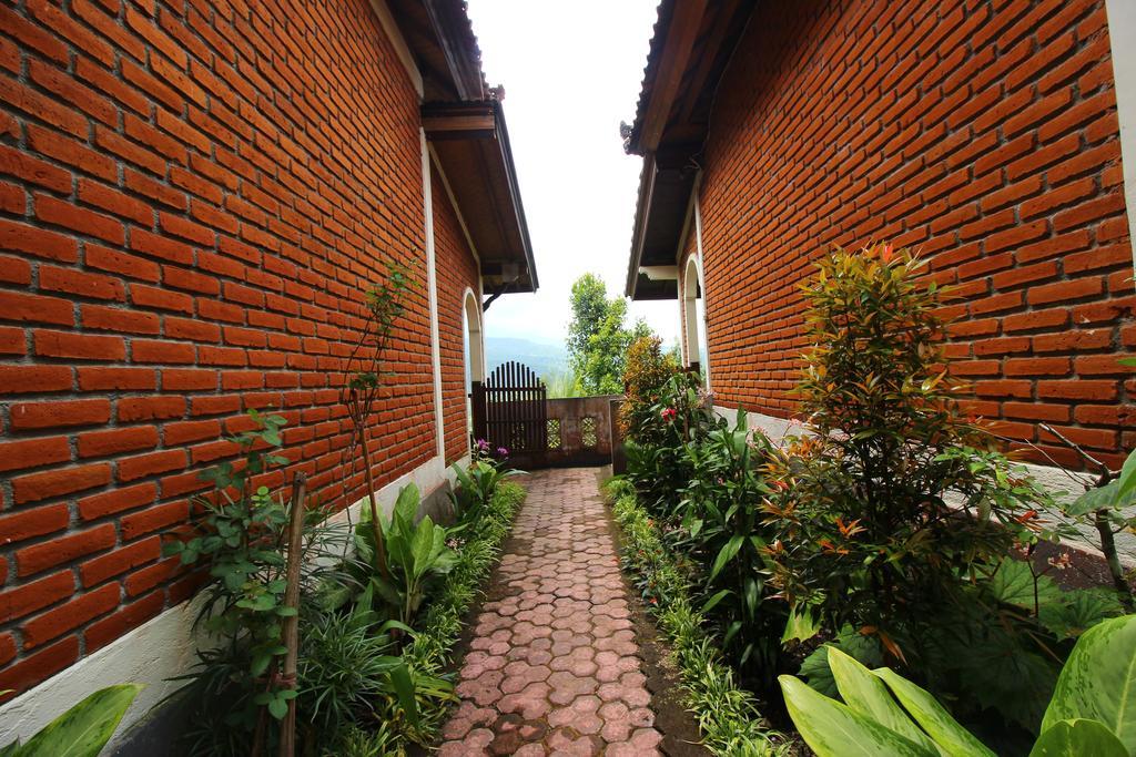Made Homestay Munduk Ngoại thất bức ảnh