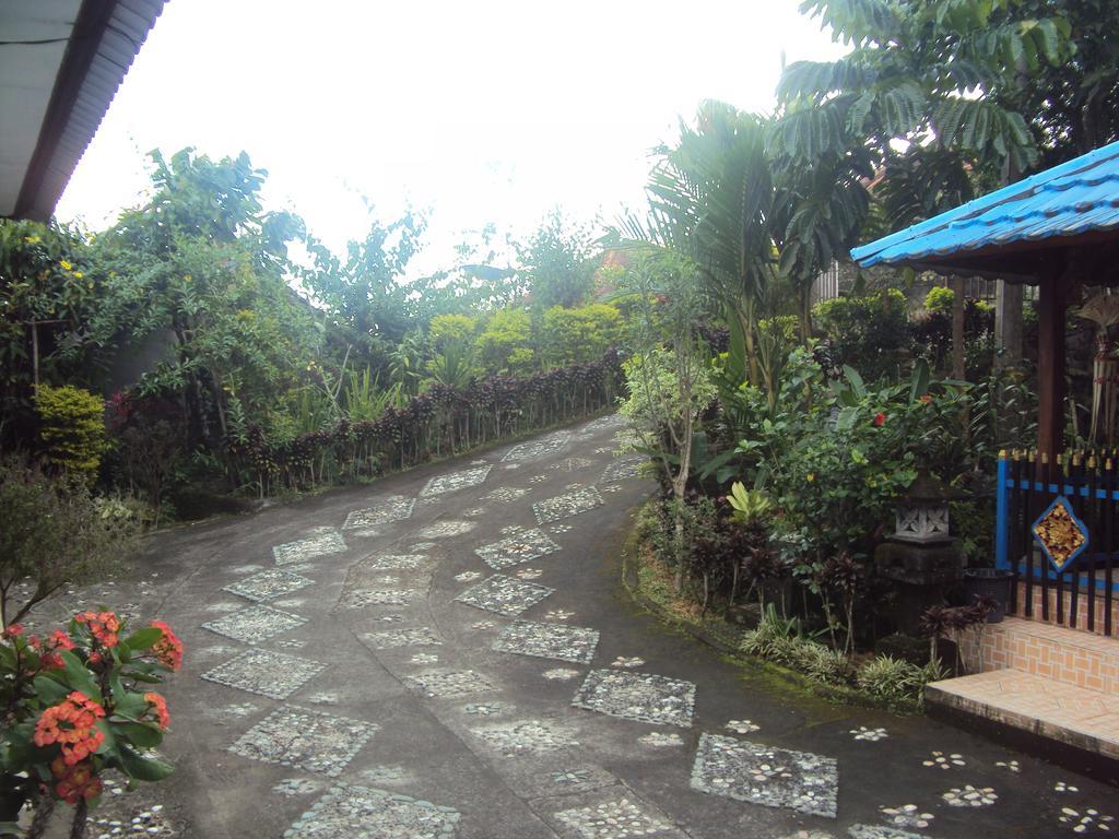 Made Homestay Munduk Ngoại thất bức ảnh