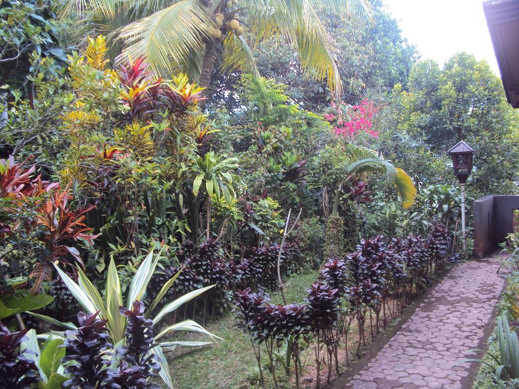 Made Homestay Munduk Ngoại thất bức ảnh